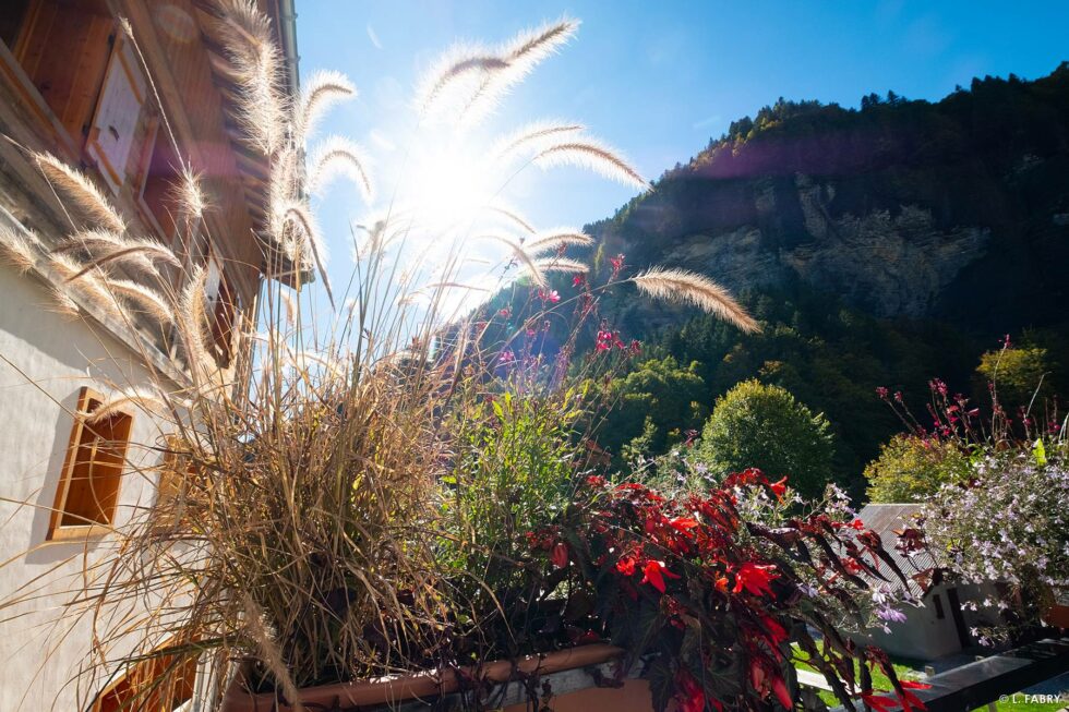 Reportage de mariage en automne à la montagne : fleurissement à la mairie de la Giettaz